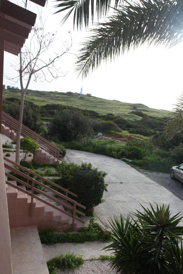 Ariadne Apt 103 -300M From Lighthouse Beach Paphos Eksteriør bilde